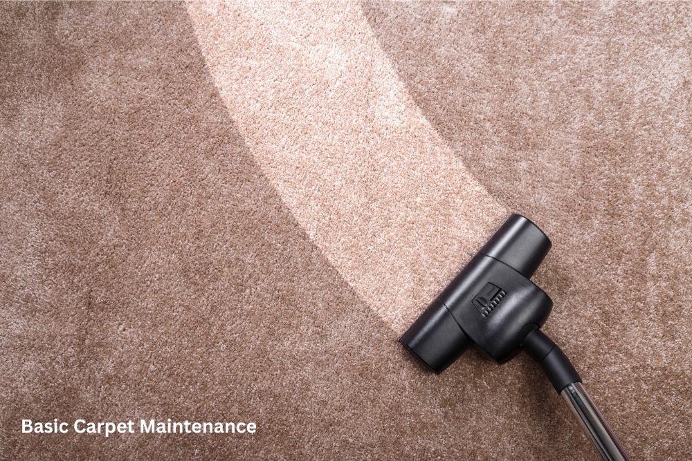 Carpet floor cleaning | Rice's More Than Floors